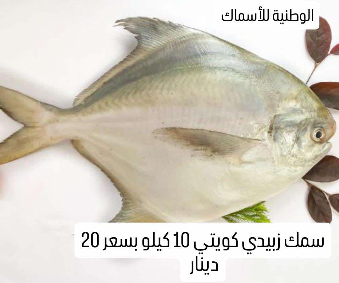 كرتون زبيدي كويتي